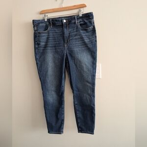 American Eagle Outfitters Size 16 Short Jegging Skinny Jeans